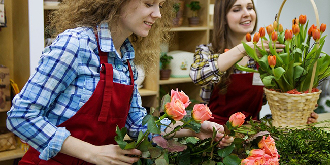 Multirisque Professionnelle Fleuriste Comment Choisir Quel Co T